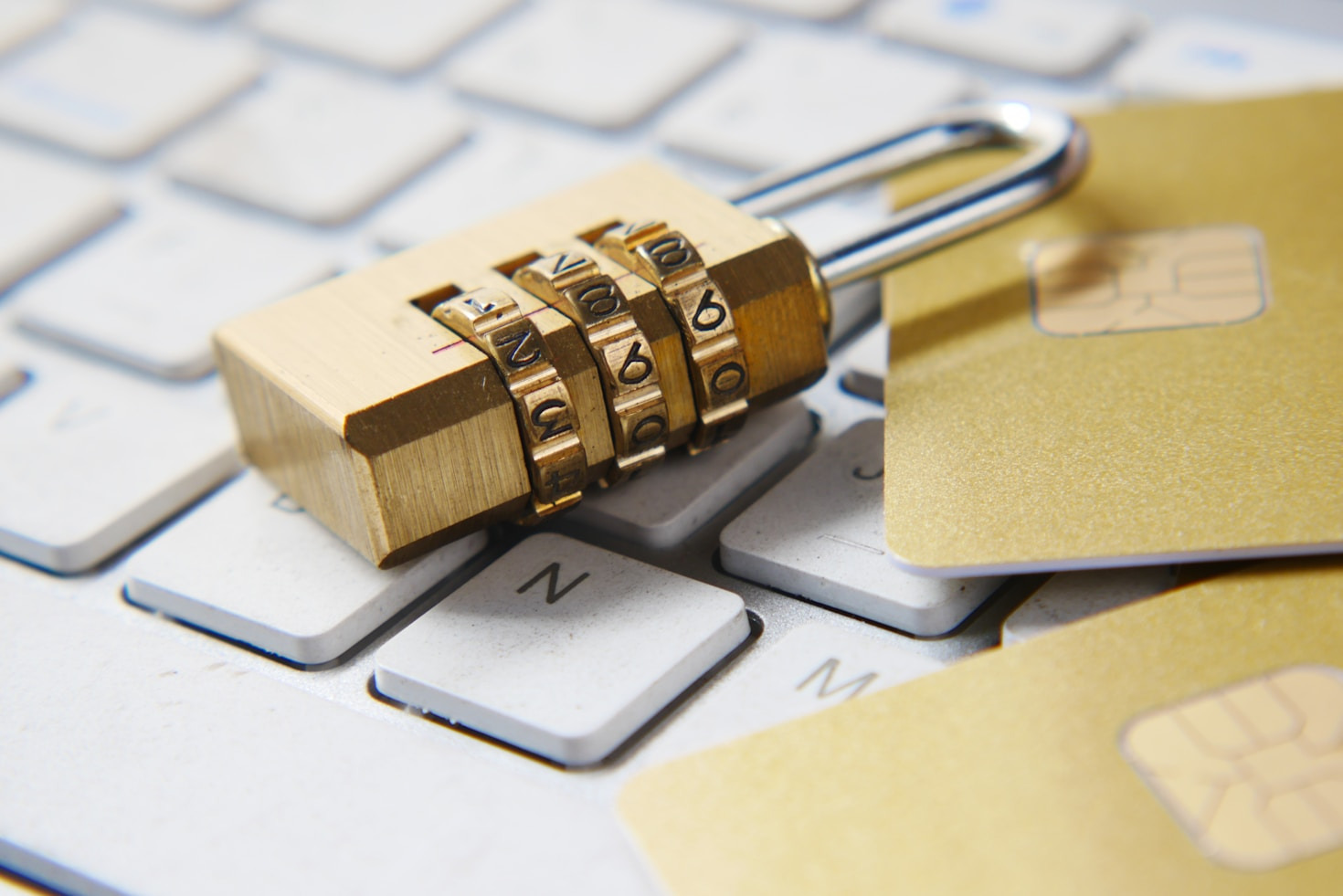PlushDragon’s Guide to Secure Digital Strategies